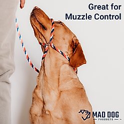 Mad Dog Products Easy Leader Slip Lead Dog Leash, Navy, 6-ft, 3/8-in slide 2 of 4