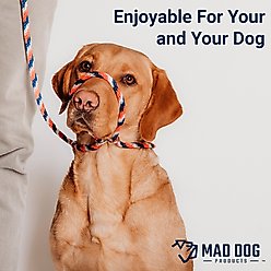 Mad Dog Products Easy Leader Slip Lead Dog Leash, Aqua, 6-ft, 1/4-in slide 2 of 4