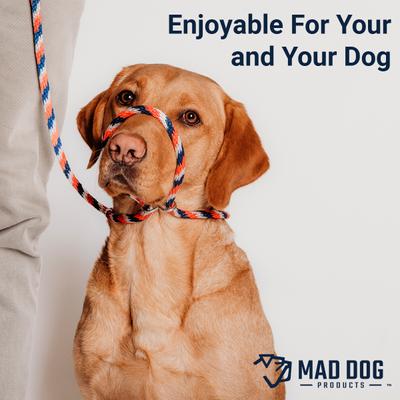 Show full view: Mad Dog Products Easy Leader Slip Lead Dog Leash, Navy, 6-ft, 3/8-in slide 3 of 6