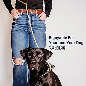 Mad Dog Products Slip Lead Dog Leash, Black, 10 ft-3/8 in