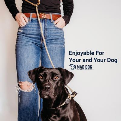 Show full view: Mad Dog Products Slip Lead Dog Leash, Pink, 10 ft-3/8 in slide 4 of 7