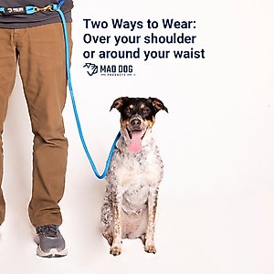 Mad Dog Products Slip Lead Dog Leash, Black, 10 ft-3/8 in