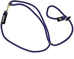 Mad Dog Products Slip Lead Dog Leash, Purple, 10 ft-3/8 in