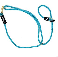Mad Dog Products Slip Lead Dog Leash, Aqua, 10 ft-3/8 in