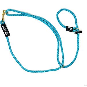 Mad Dog Products Slip Lead Dog Leash, Aqua, 10 ft-3/8 in