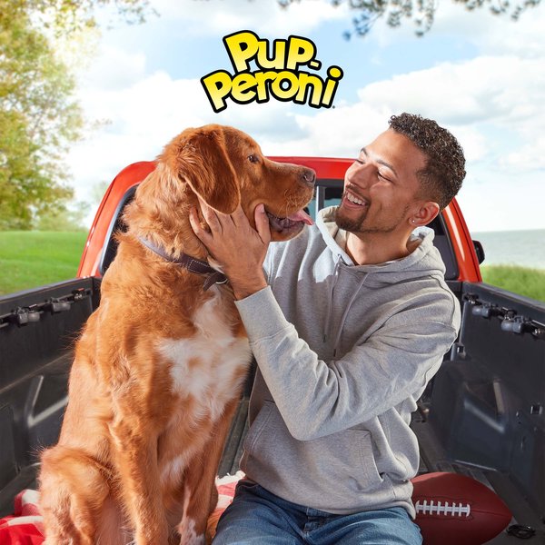 Show full view: Pup-Peroni Original Beef Flavor Dog Treats, 22.5-oz bag slide 6 of 11