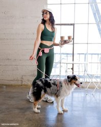 Sunny Tails Waste Dog Poop Bag Dispenser, Pink Coquette slide 2 of 5