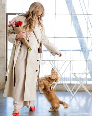 Show full view: Sunny Tails 4-in-1 Convertible Hands Free Cloud Dog Leash, 8.5-ft long, 5/8-in wide, Espresso Brown slide 6 of 9