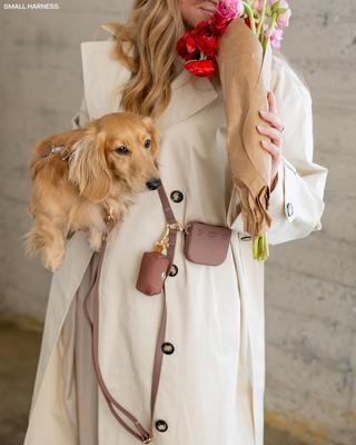 Show full view: Sunny Tails 4-in-1 Convertible Hands Free Cloud Dog Leash, 8.5-ft long, 5/8-in wide, Espresso Brown slide 7 of 9