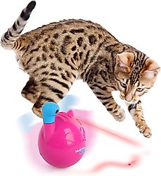 allforpaws Modern Cat Wobble Laser Cat Toy, Rose Red