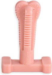 BulliBone Superbrush Peppermint Flavor Dog Chew Toy, Small, 1 count