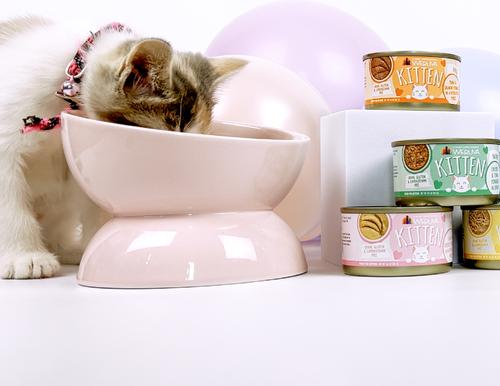 Show full view: Weruva Kitten Chicken Formula Au Jus Grain-Free Wet Cat Food, 3-oz can, case of 12 slide 8 of 13