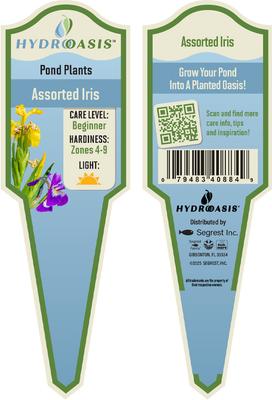 Show full view: HydrOasis Assorted Iris Potted Fish Plant, 3 count slide 4 of 4