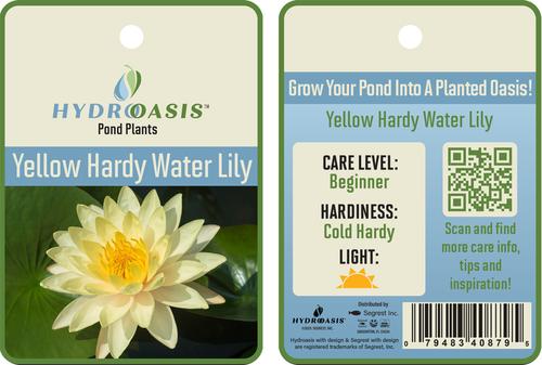 Show full view: HydrOasis Hardy Water Lily Live Pond Plant, Yellow slide 5 of 6