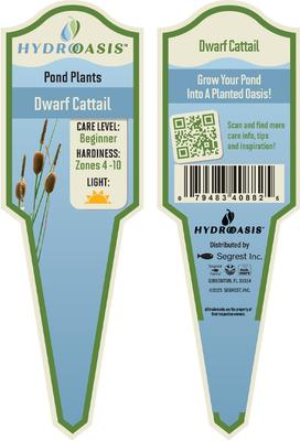 Show full view: HydrOasis Dwarf Cattail Potted Fish Plant, 3 count slide 4 of 4