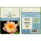 Show in main carousel: HydrOasis Hardy Water Lily Live Pond Plant, Peach slide 5 of 5