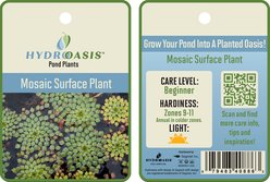 HydrOasis Mosaic Surface Plant Reg Fish Plant, 3 count slide 2 of 4