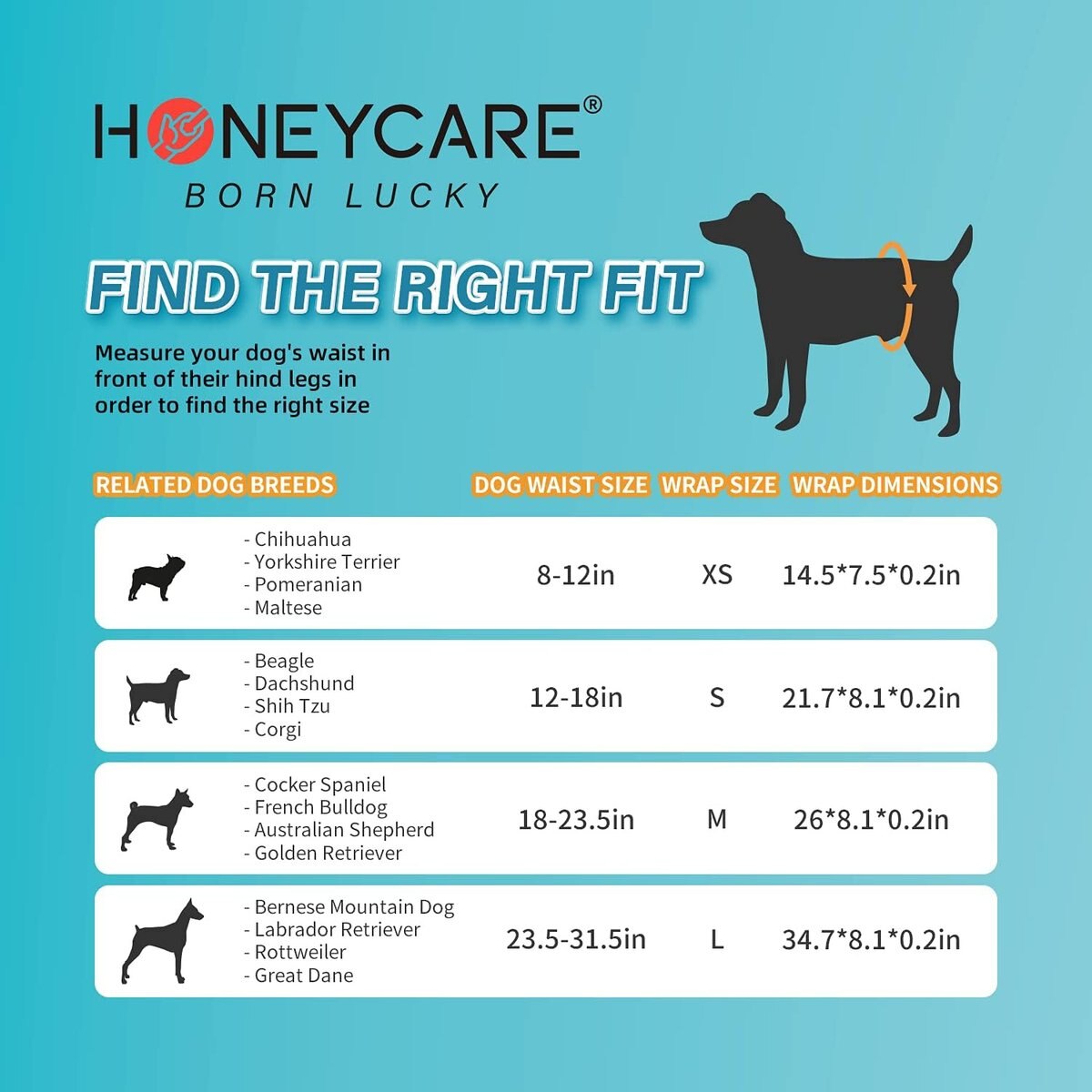 HoneyCare All Absorb Scented Male Dog Wraps