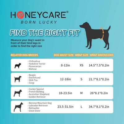 Show full view: HoneyCare All Absorb Scented Male Dog Wraps, Large: 25 to 29.5-in waist, 80 count slide 6 of 7
