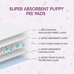COCOYO Super Absorbent Disposable Female Dog Diapers, X-Large: 21 to 31-in waist, 32 count slide 2 of 7