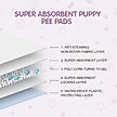 Show in main carousel: COCOYO Super Absorbent Disposable Female Dog Diapers, X-Large: 21 to 31-in waist, 32 count slide 4 of 8