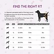 Show in main carousel: COCOYO Super Absorbent Disposable Female Dog Diapers, X-Large: 21 to 31-in waist, 32 count slide 6 of 8