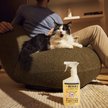 Show in main carousel: Mrs. Meyer's Pet Stain & Odor Fighter, Orange Blossom, 16-fl oz bottle slide 8 of 10