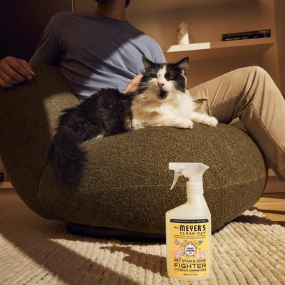 Show full view: Mrs. Meyer's Pet Stain & Odor Fighter, Orange Blossom, 16-fl oz bottle slide 8 of 10