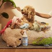 Show in main carousel: Mrs. Meyer's Pet Odor Neutralizer, Coconut Leaf, 12-fl oz bottle slide 8 of 10