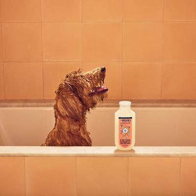 Show full view: Mrs. Meyer's 3-in1 Dog Shampoo, White Peach, 14-fl oz bottle slide 8 of 10