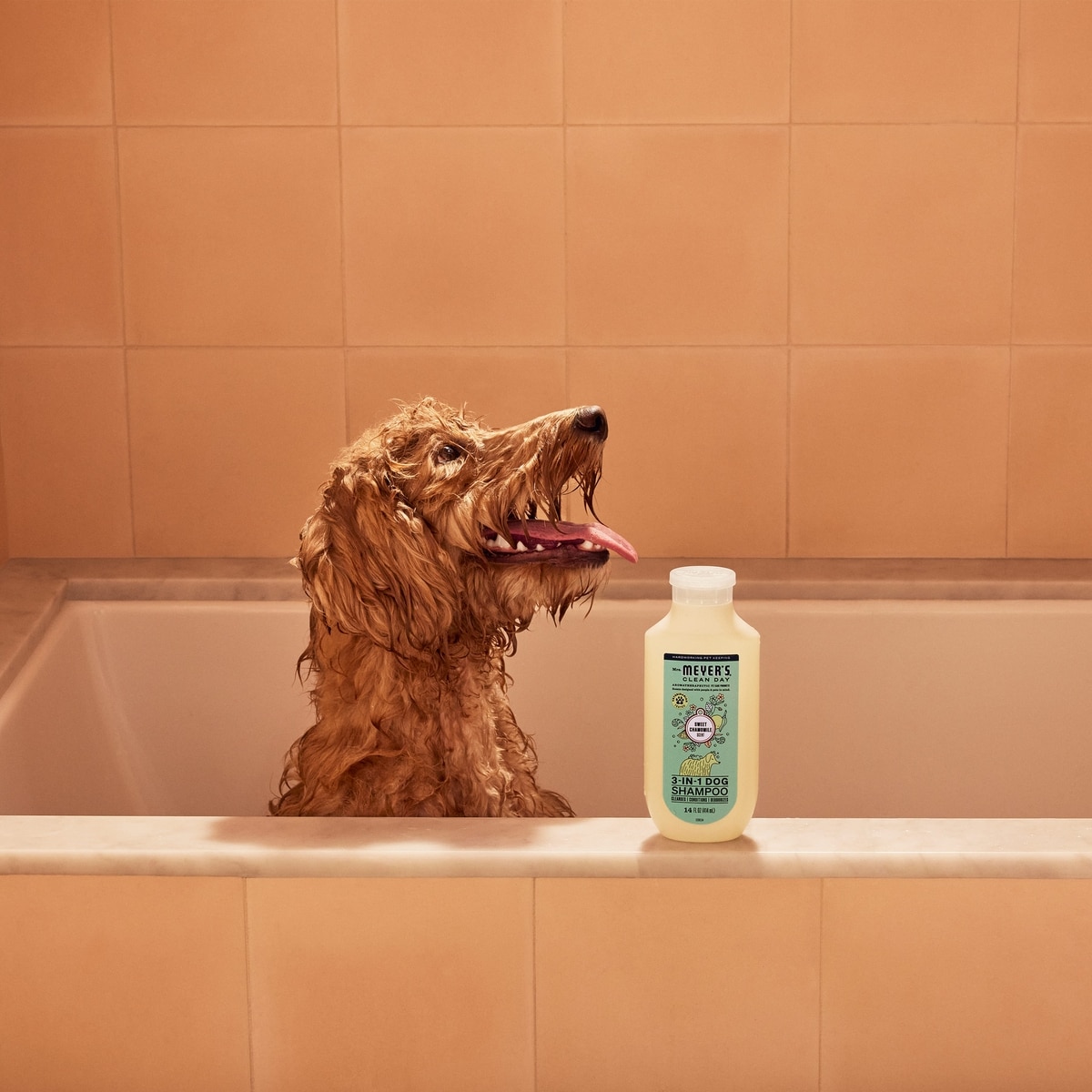 MEYER'S 3-in1 Dog Shampoo, Sweet Chamomile, 14-fl oz bottle