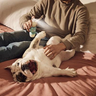 Show full view: Mrs. Meyer's Dog Deodorizing Spritz, Sweet Chamomile, 8-fl oz bottle slide 8 of 10