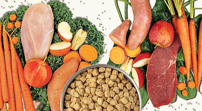 Primal Kibble in the Raw Non-GMO Chicken Recipe Freeze-Dried Cat Food