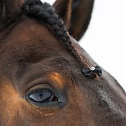 Horze Sparkling Mane Horse Bows, Black slide 2 of 2