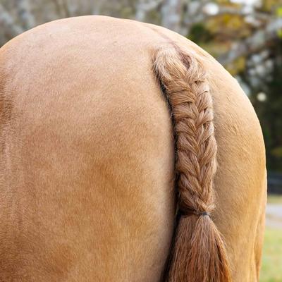 Show full view: Horze Silicone Rubber Horse Plaiting Band, Black slide 4 of 4