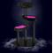 Show in main carousel: Happy & Polly Gothic Style 41.3-in Removable Cushion Plush Cat Tree, Pink, Large slide 2 of 12