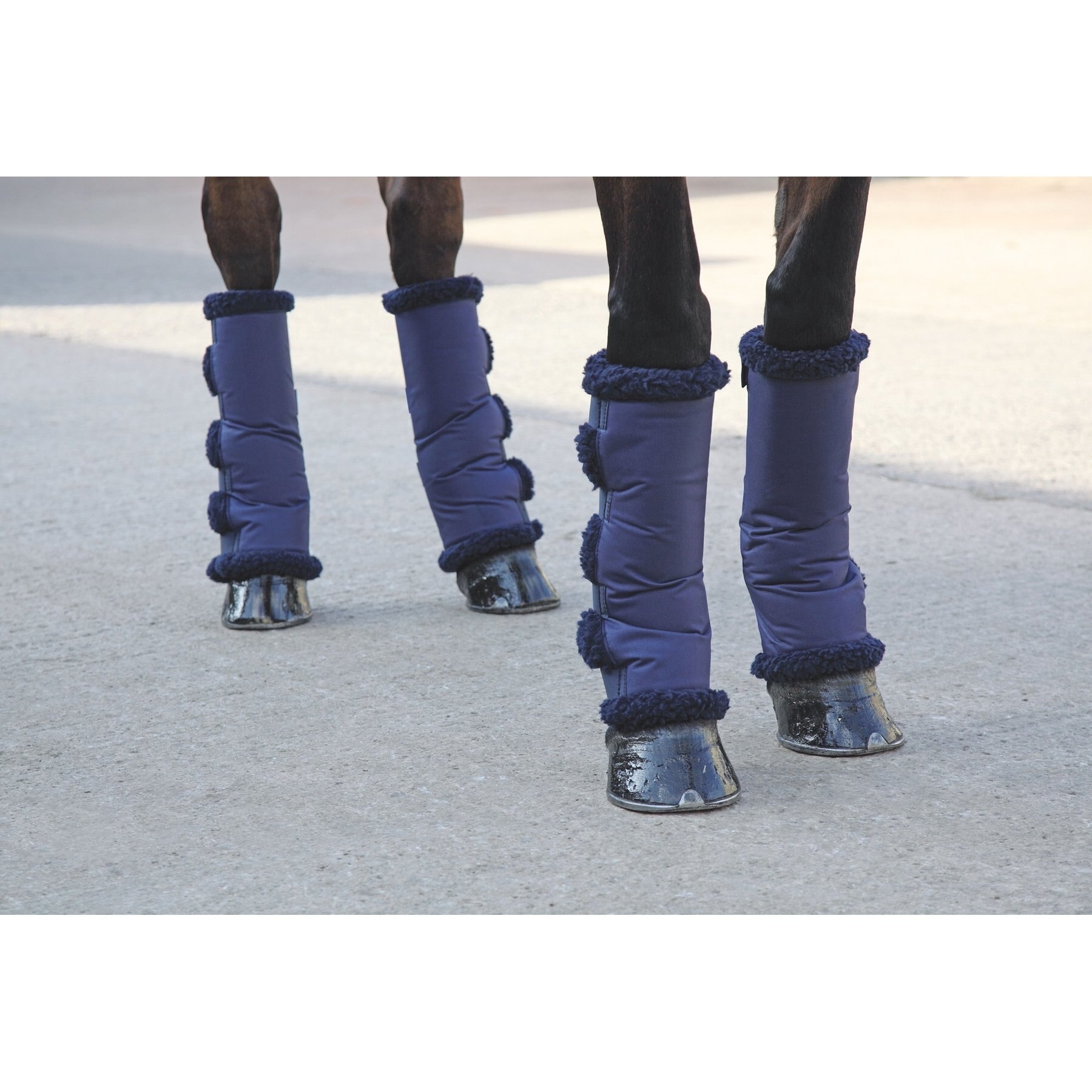 Shires Equestrian Products ARMA Short Fleece Lined Travel Horse Boots, Navy, Navy, Pony