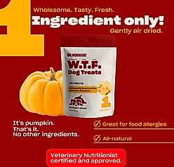 OH NORMAN WTF Pumpkin Slices Dog Treats, 6-oz box slide 2 of 8