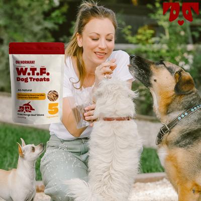 Show full view: OH NORMAN WTF Beef High Protein Jerky Dog Treats, 6-oz box slide 9 of 12