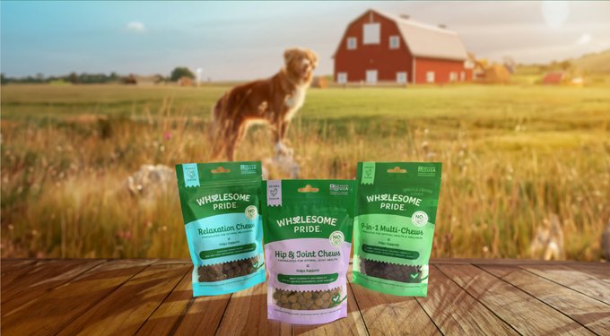 Wholesome Pride Pet Treats Pumpkin Slices Dehydrated Dog Treats