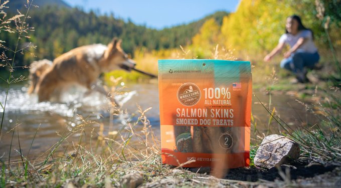 Wholesome Pride Pet Treats Pumpkin Slices Dehydrated Dog Treats