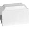 Show in main carousel: Titan Casket White Paw Cultured Marble Pet Urn, White, Regular slide 3 of 4