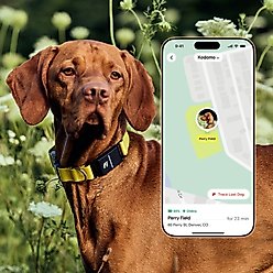 Fi Series 3 Kit Dog GPS Tracking Collar, Yellow, X-Large: 20 to 30-in neck, 1-in wide slide 2 of 6