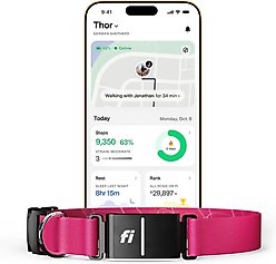 Fi Series 3 Kit Dog GPS Tracking Collar, Pink, X-Large: 20 to 30-in neck, 1-in wide