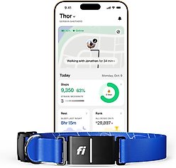 Fi Series 3 Kit Dog GPS Tracking Collar, Blue, X-Large: 20 to 30-in neck, 1-in wide
