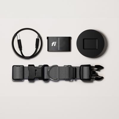 Show full view: Fi Series 3 Kit Dog GPS Tracking Collar, Gray, X-Small: 9.5 to 11-in neck, 3/4-in wide slide 6 of 7