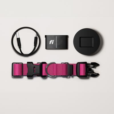 Show full view: Fi Series 3 Kit Dog GPS Tracking Collar, Pink, Large: 15.5 to 22-in neck, 1-in wide slide 6 of 7