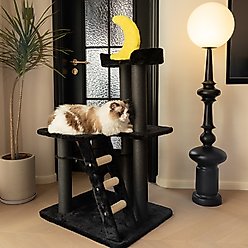 Happy & Polly Nightfall 40-in Plush Cat Tree, Black