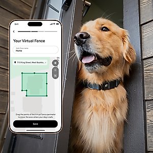 Fi Series 3 Kit Dog GPS Tracking Collar, Gray, X-Small: 9.5 to 11-in neck, 3/4-in wide