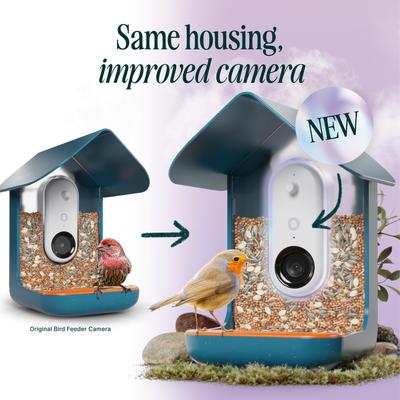 Show full view: Bird Buddy Smart Wild Bird Feeder Pro slide 2 of 10